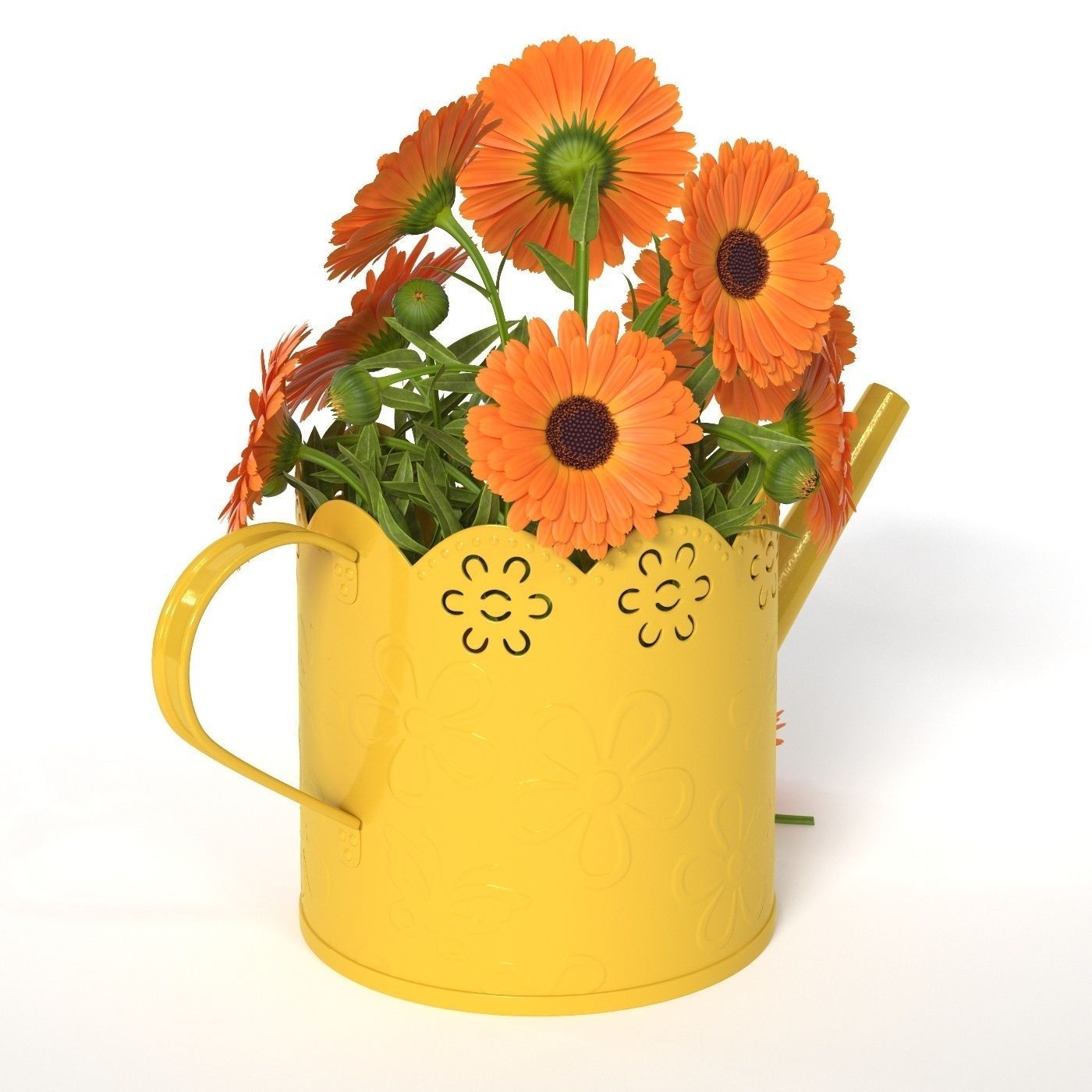Calendula orange flowers in watering can 3D model_6
