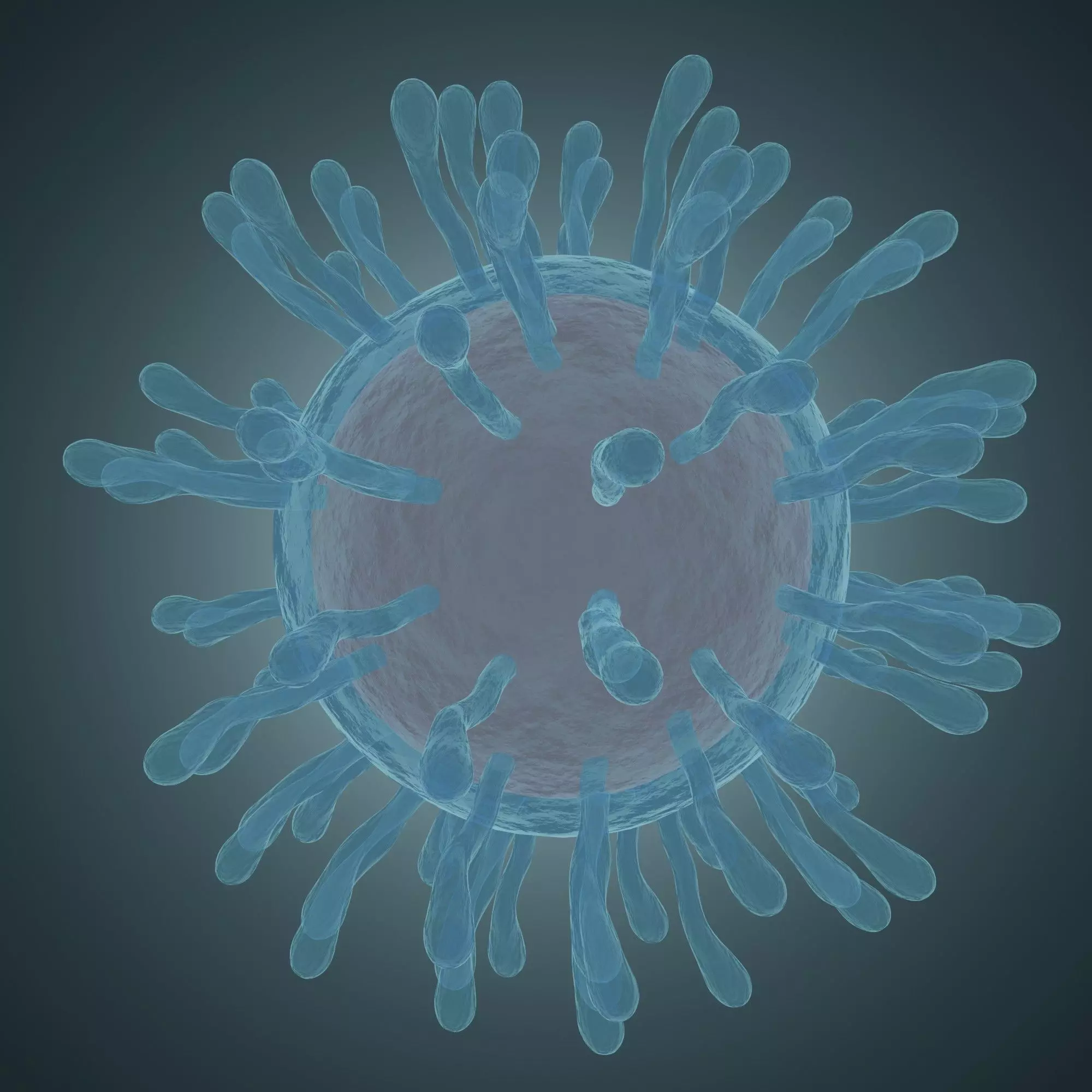 Corona virus Low-poly 3D model_0