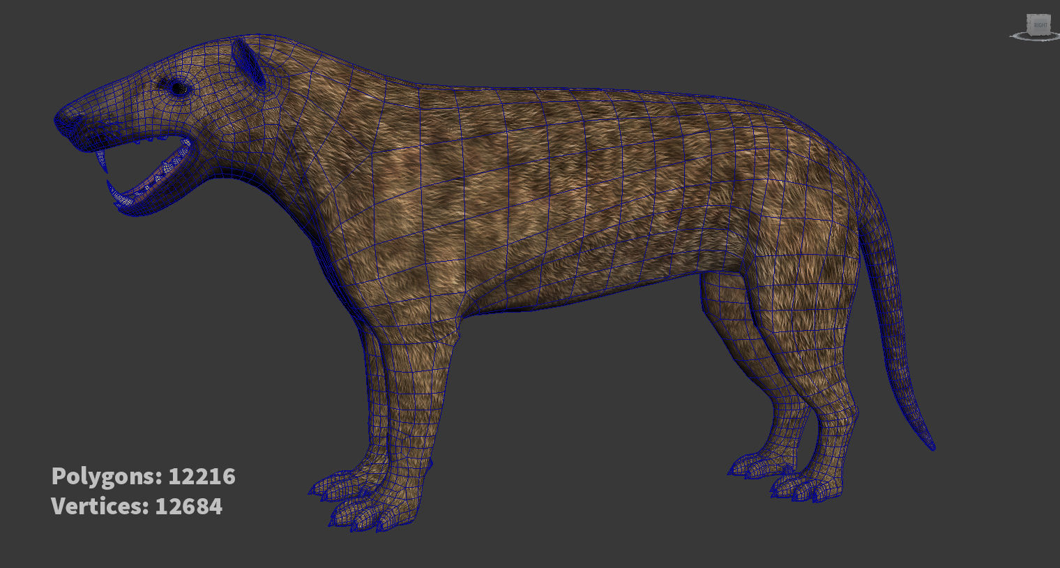 Extinct animals pack version 8 Low-poly 3D model_13