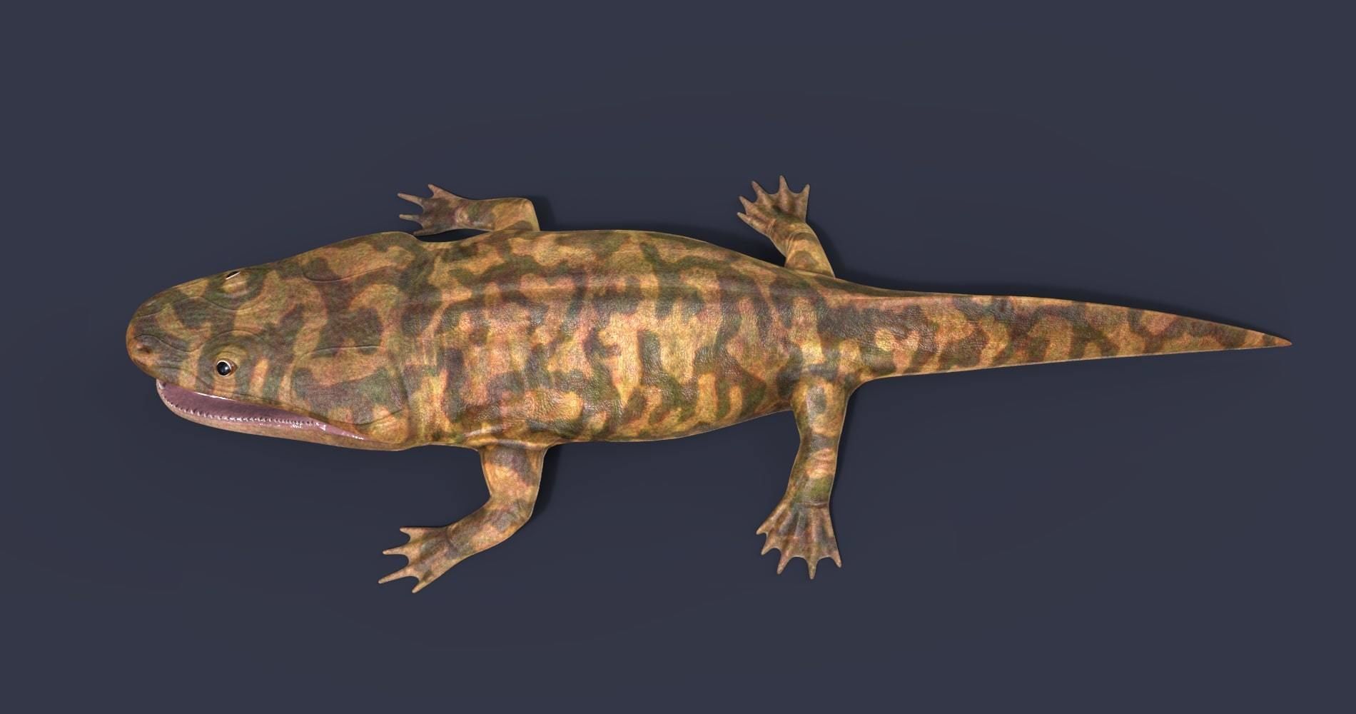 Extinct animals pack version 8 Low-poly 3D model_94