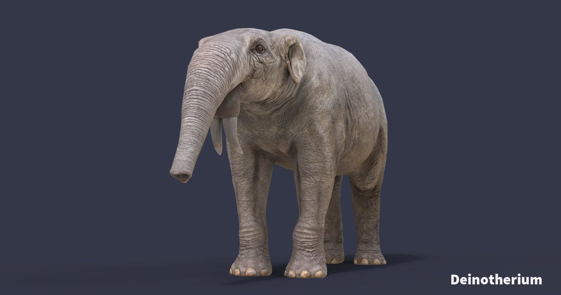 Extinct animals pack version 8 Low-poly 3D model_22