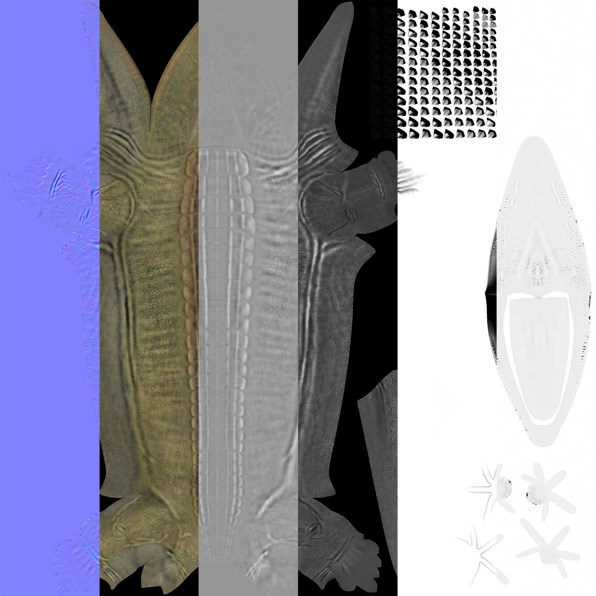 Extinct animals pack version 8 Low-poly 3D model_114