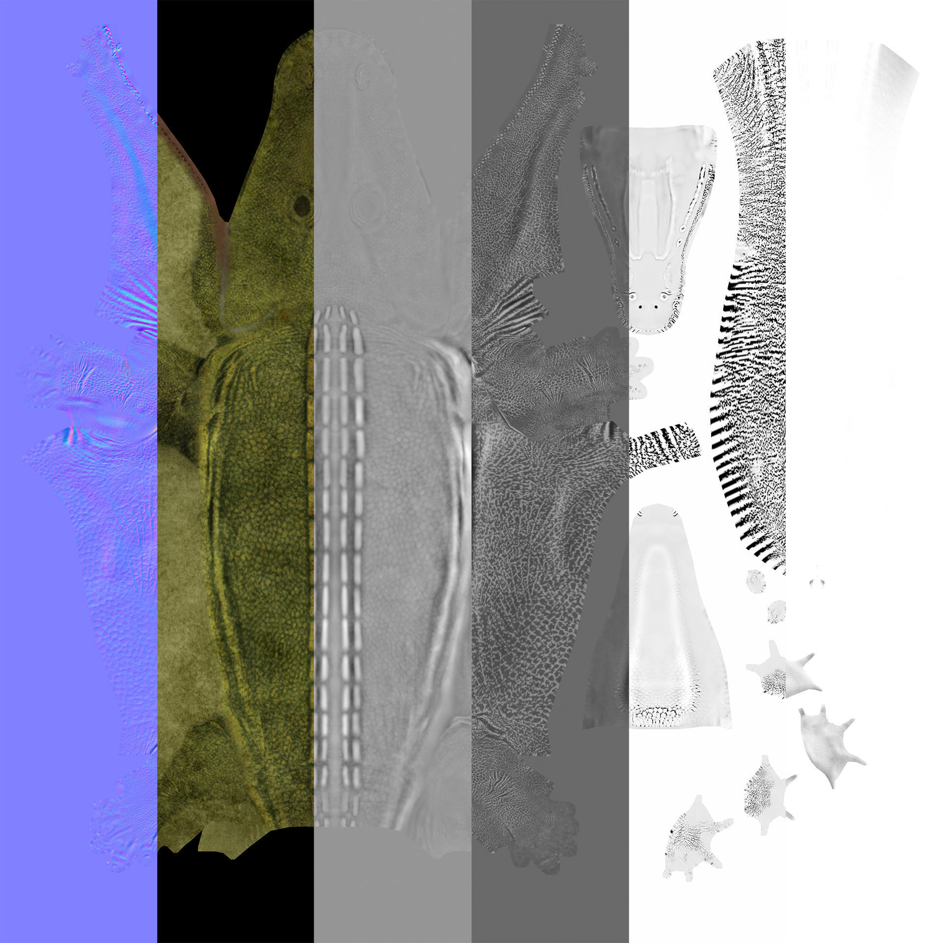 Extinct animals pack version 8 Low-poly 3D model_39