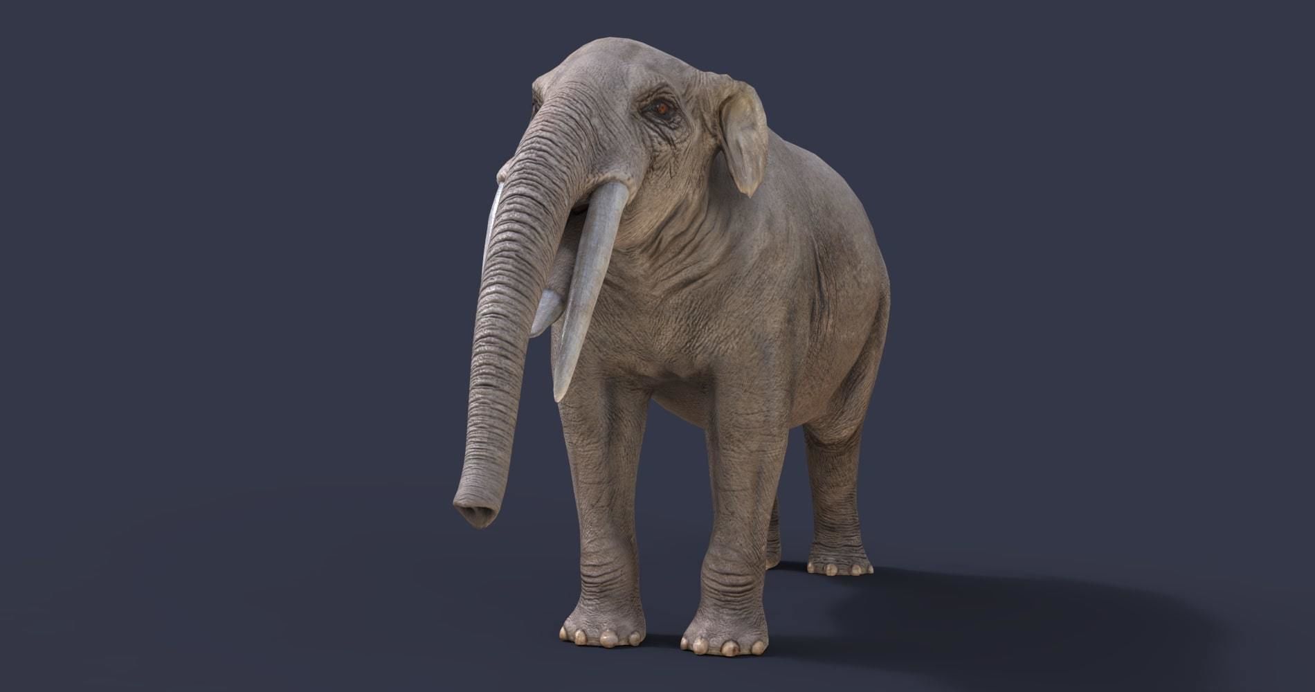 Extinct animals pack version 8 Low-poly 3D model_16