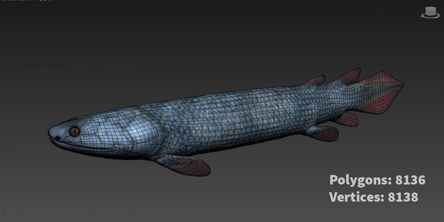 Extinct animals pack version 8 Low-poly 3D model_28