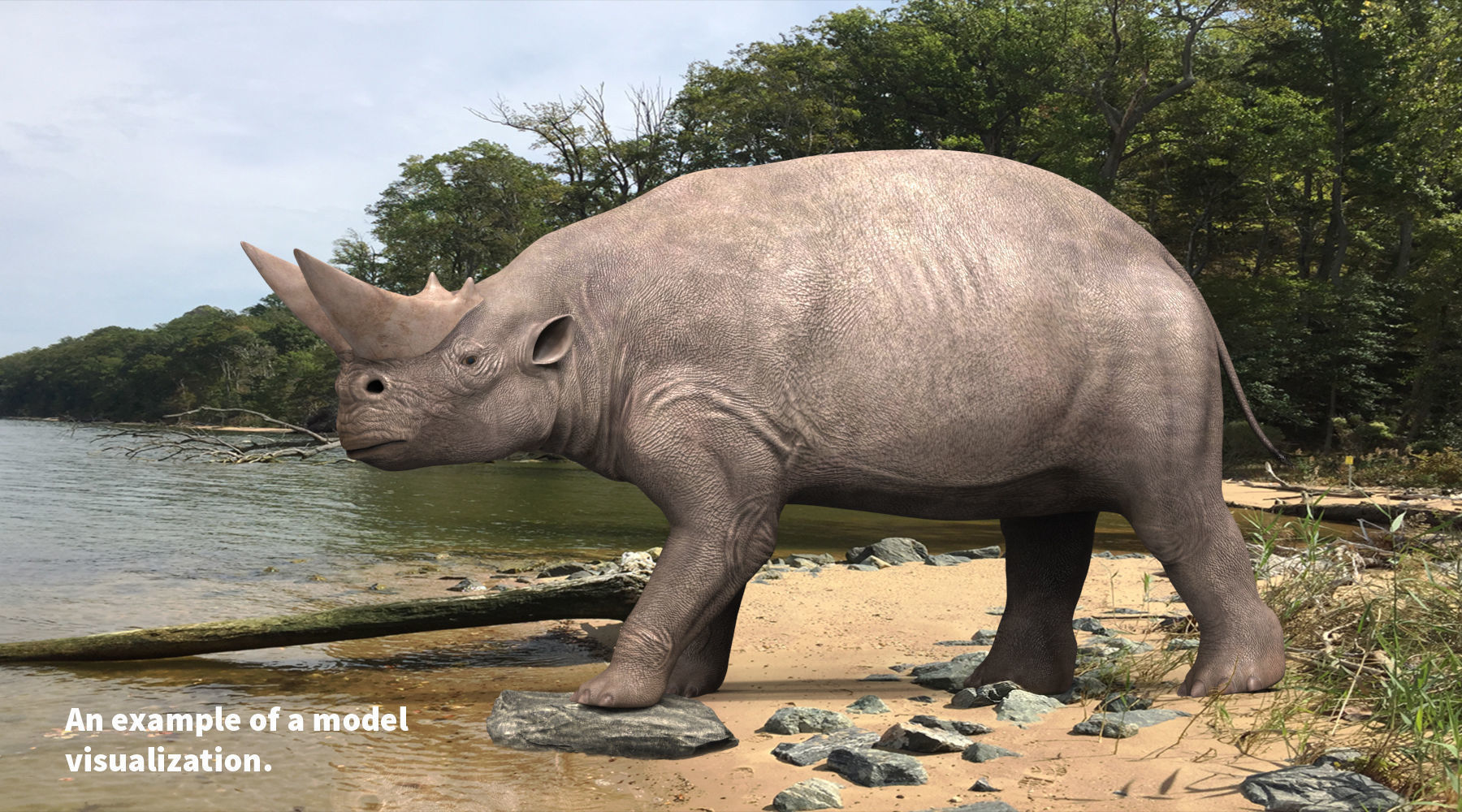 Extinct animals pack version 8 Low-poly 3D model_68