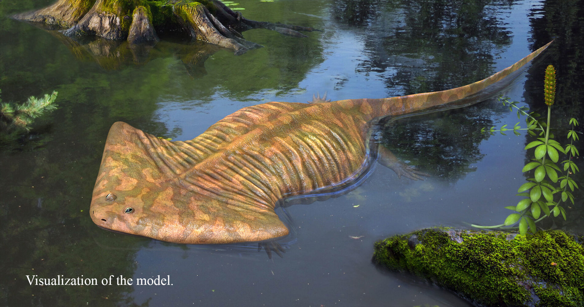 Extinct animals pack version 8 Low-poly 3D model_78