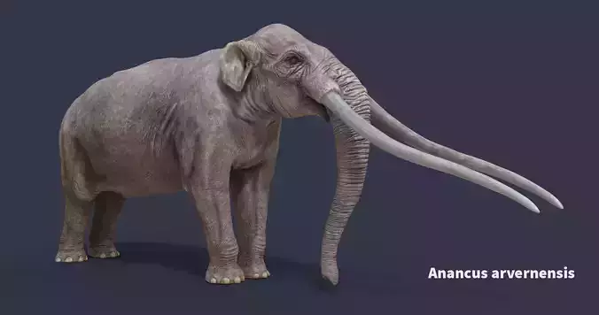 Extinct animals pack version 8 Low-poly 3D model