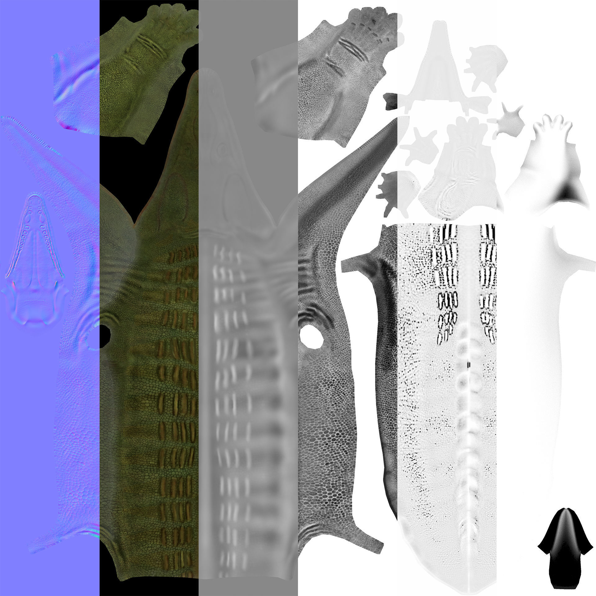 Extinct animals pack version 8 Low-poly 3D model_110