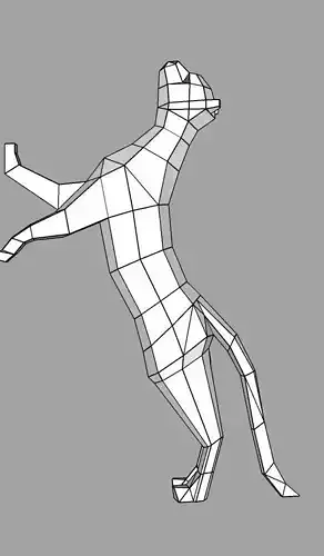 CAT LOWPOLY 3D in form of triangle