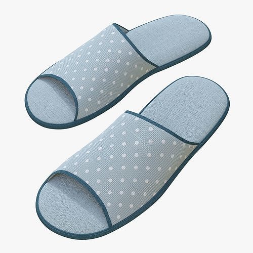  Slippes 01 e 3D model