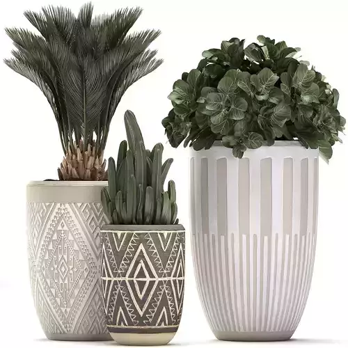 Decorative plants in flower pots for the interior 476 3D model