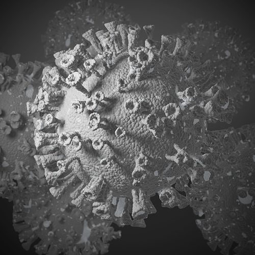 Covid-19 3D model