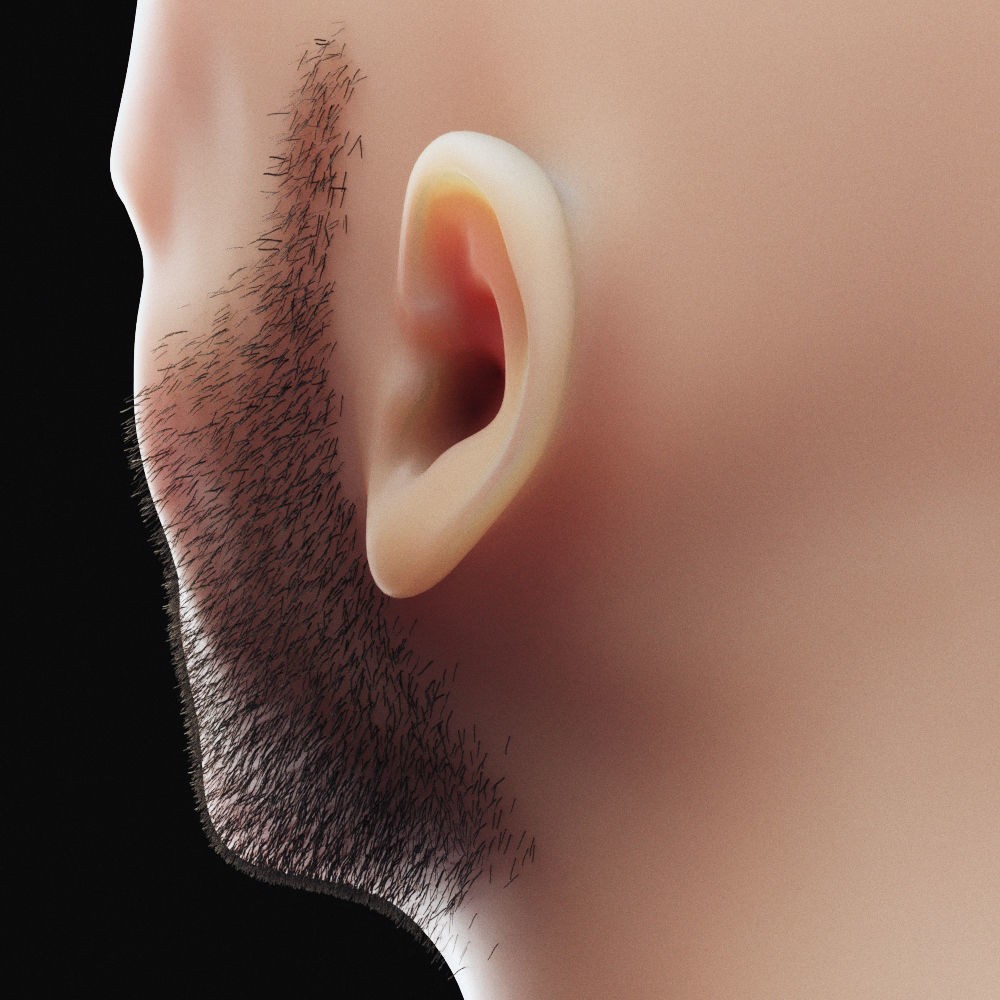 Stubble Low Poly 4 Low-poly 3D model_3