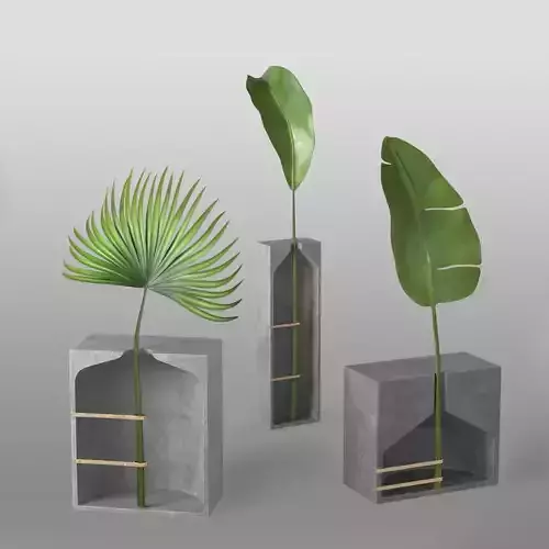 Modern concrete Pots