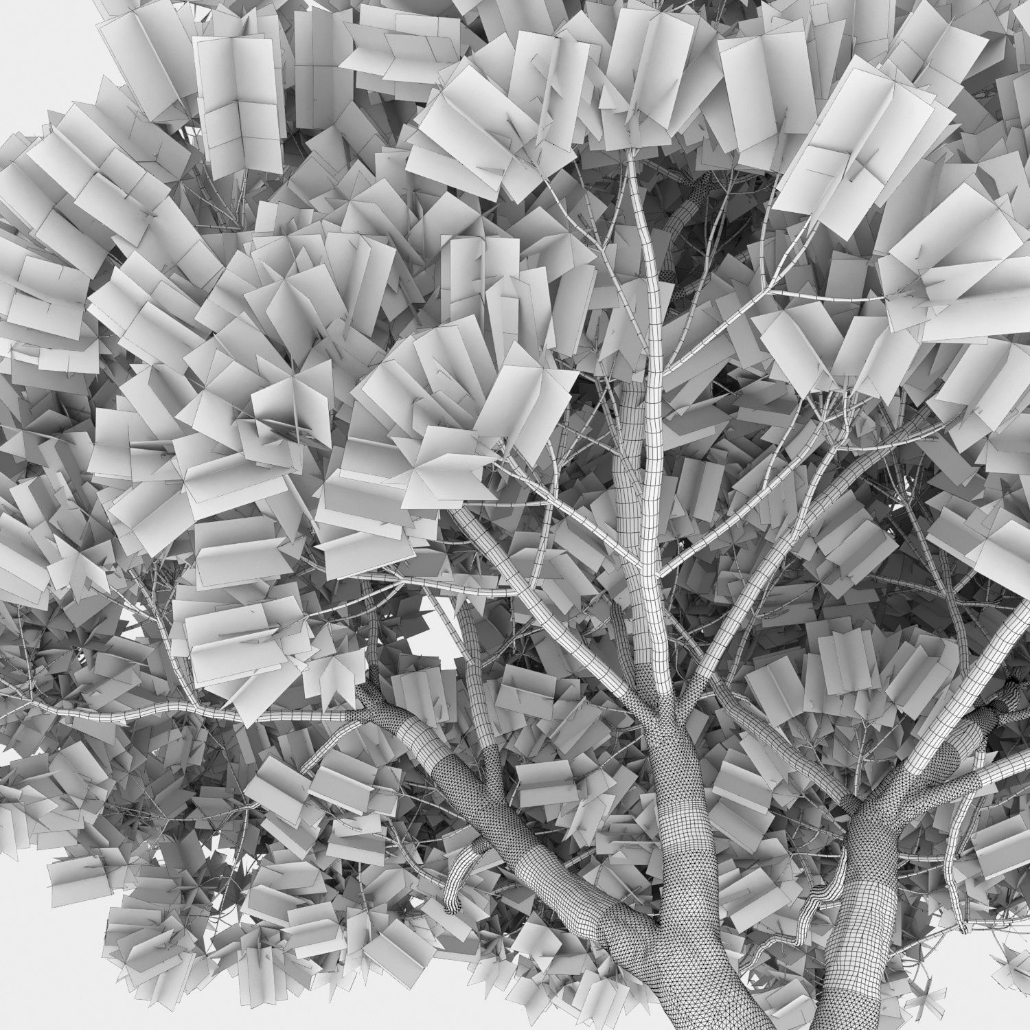 Pinus Pinea 04 3D model_3