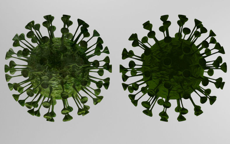 Corona viruses -  Animated 3D Model Collection 3D print model_3