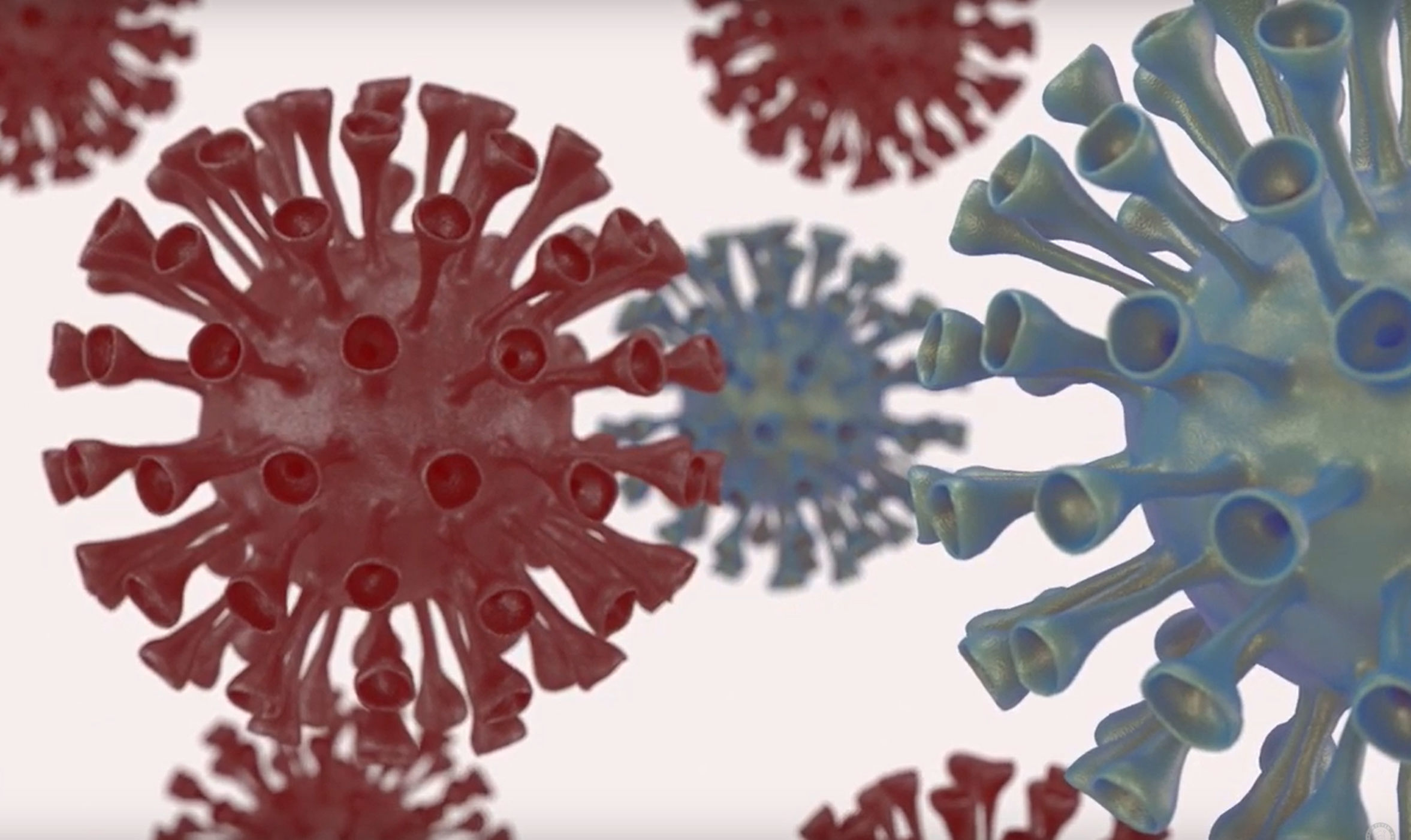 Corona viruses -  Animated 3D Model Collection 3D print model_4