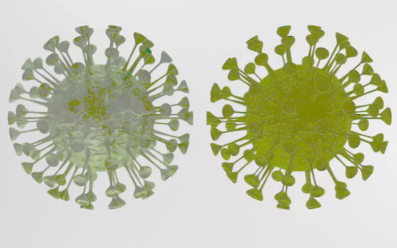 Corona viruses -  Animated 3D Model Collection 3D print model_0