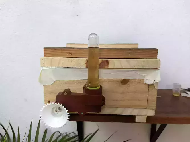 Alimentador para abelhas - Bee feeder