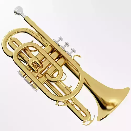 Cornet gold trumpet 3D model