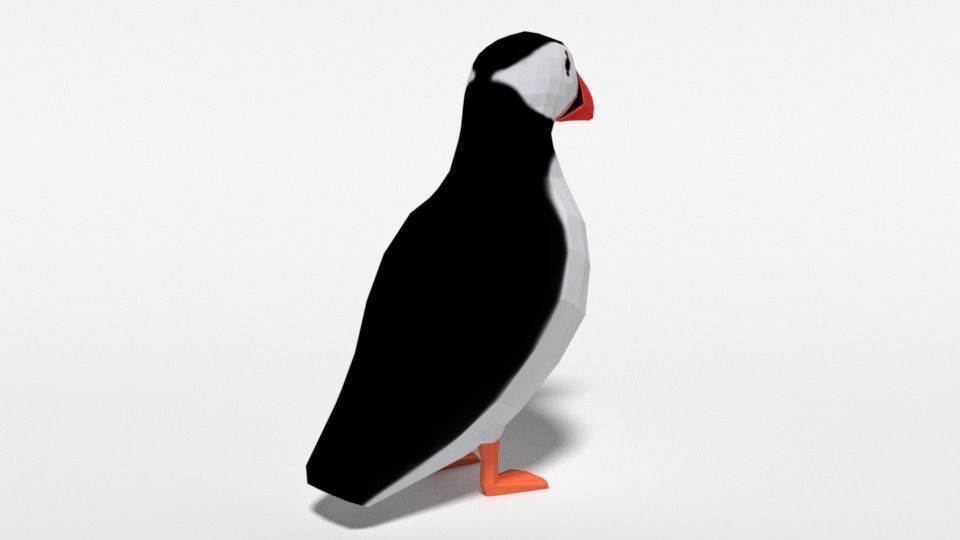 Low Poly Cartoon Puffin Low-poly 3D model_4