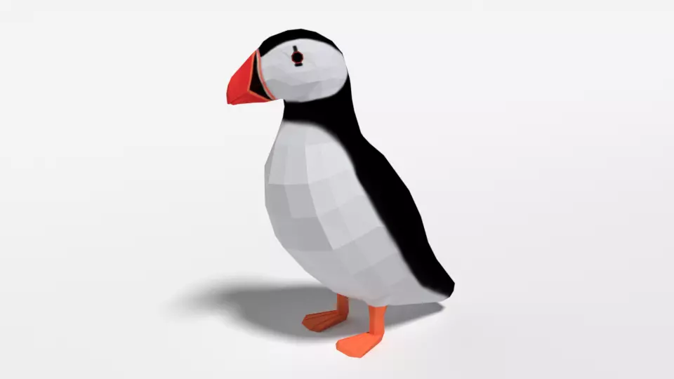 Low Poly Cartoon Puffin Low-poly 3D model_0