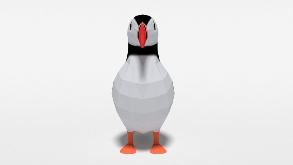 Low Poly Cartoon Puffin Low-poly 3D model_7