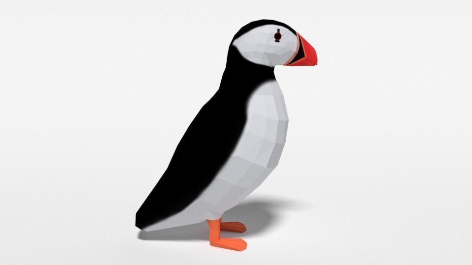 Low Poly Cartoon Puffin Low-poly 3D model_5
