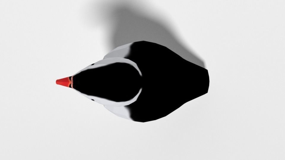 Low Poly Cartoon Puffin Low-poly 3D model_8