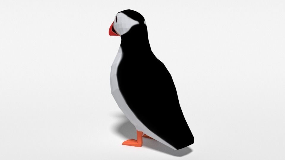 Low Poly Cartoon Puffin Low-poly 3D model_2