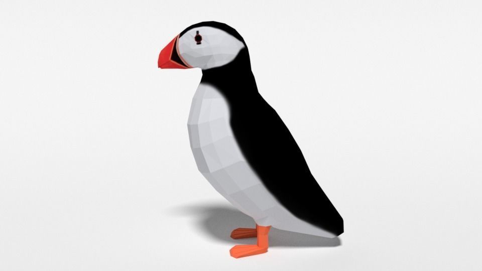 Low Poly Cartoon Puffin Low-poly 3D model_1