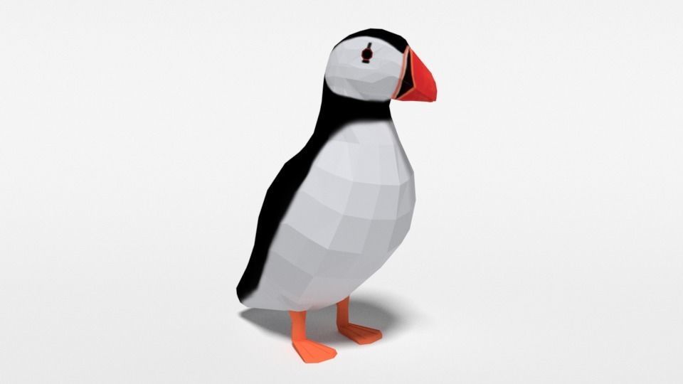 Low Poly Cartoon Puffin Low-poly 3D model_6