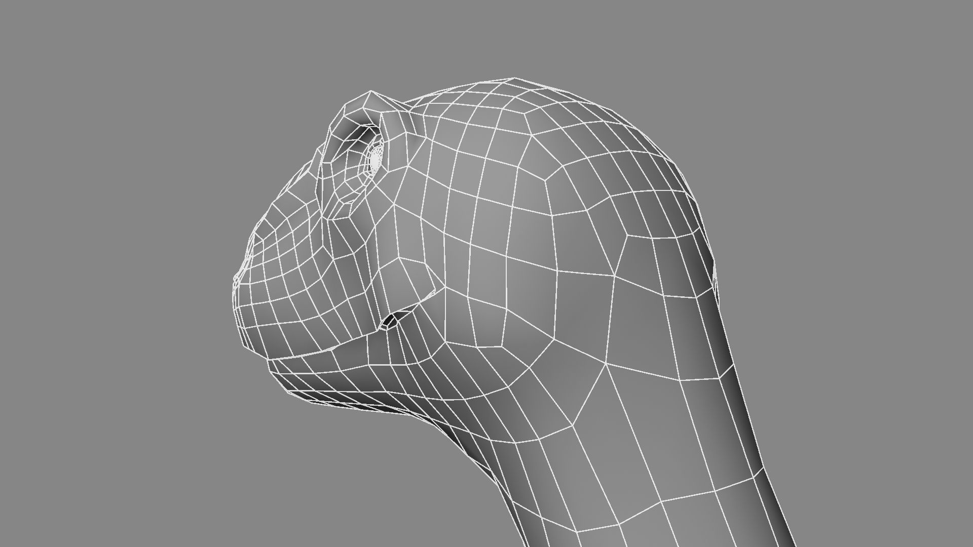 Argentinosaurus dinosaur 3D model_25