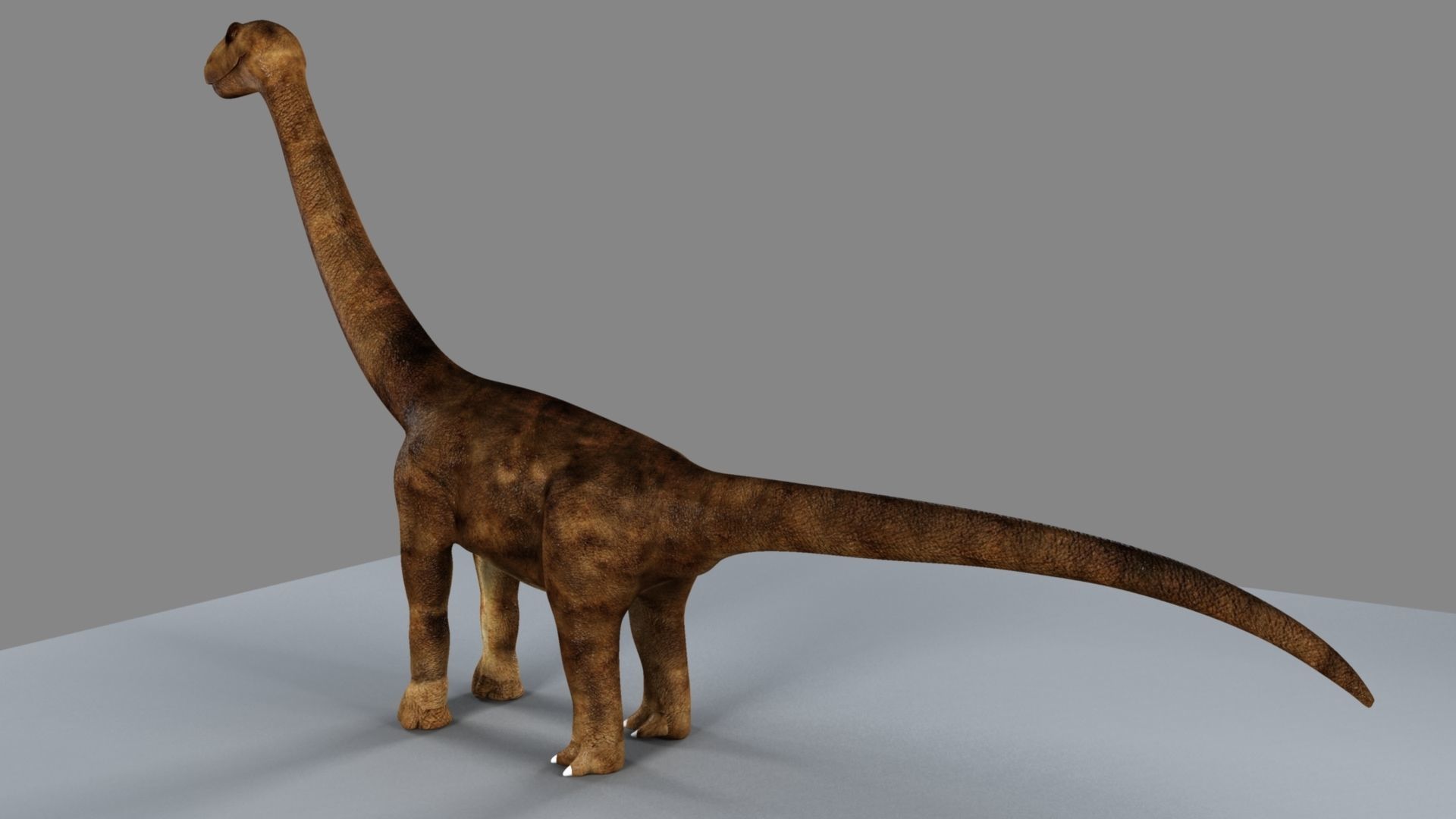 Argentinosaurus dinosaur 3D model_2