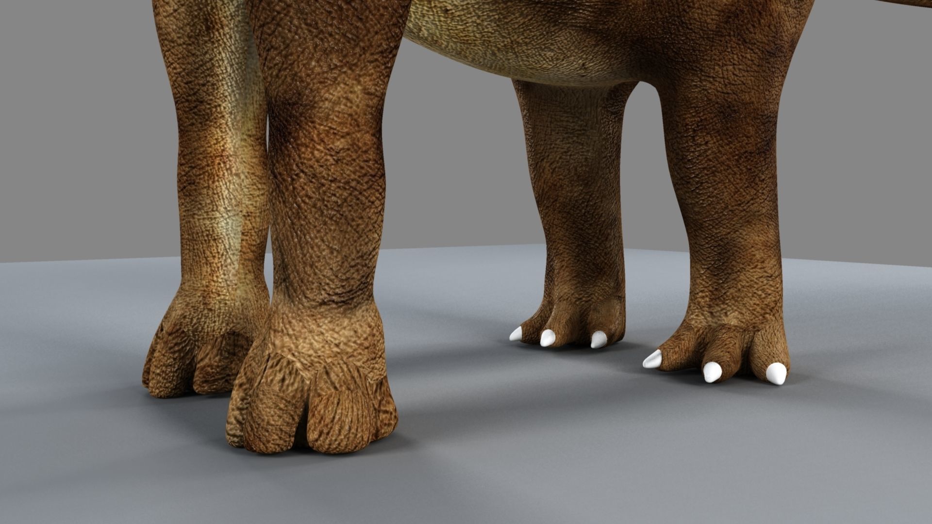 Argentinosaurus dinosaur 3D model_13