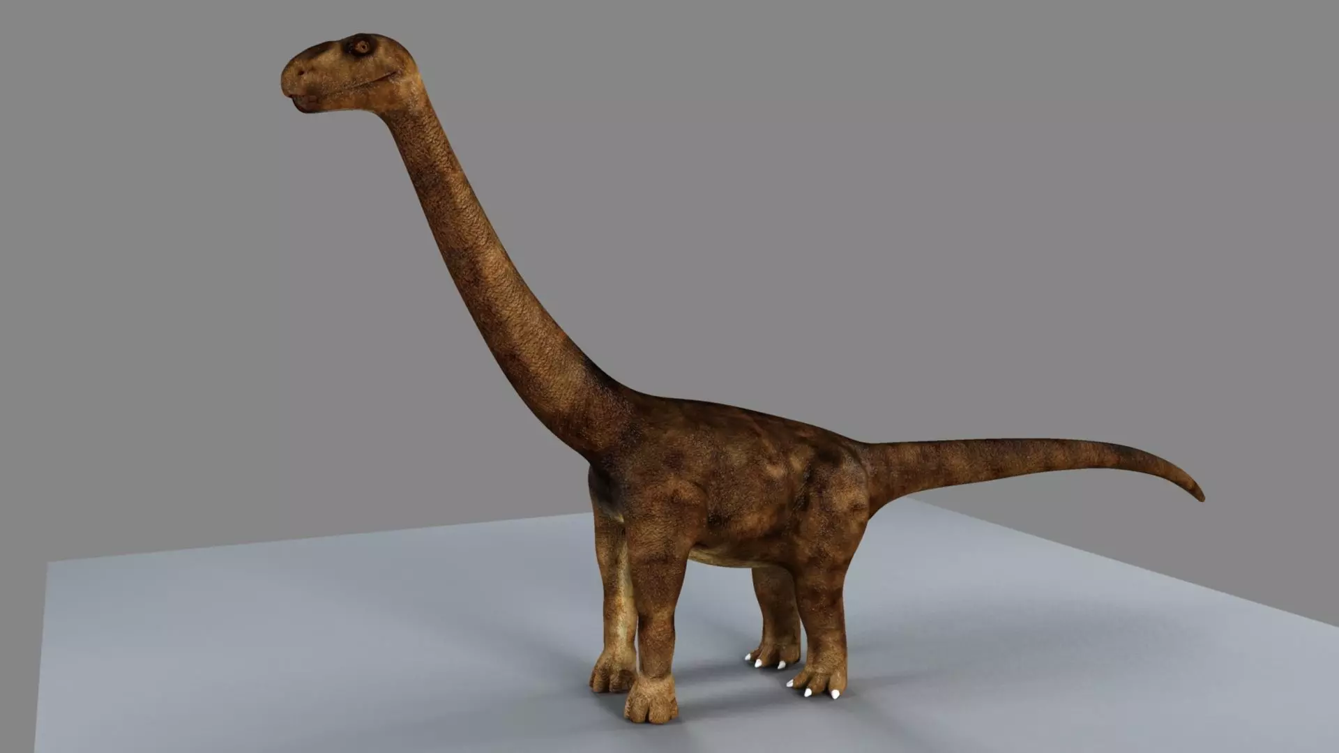 Argentinosaurus dinosaur 3D model_0