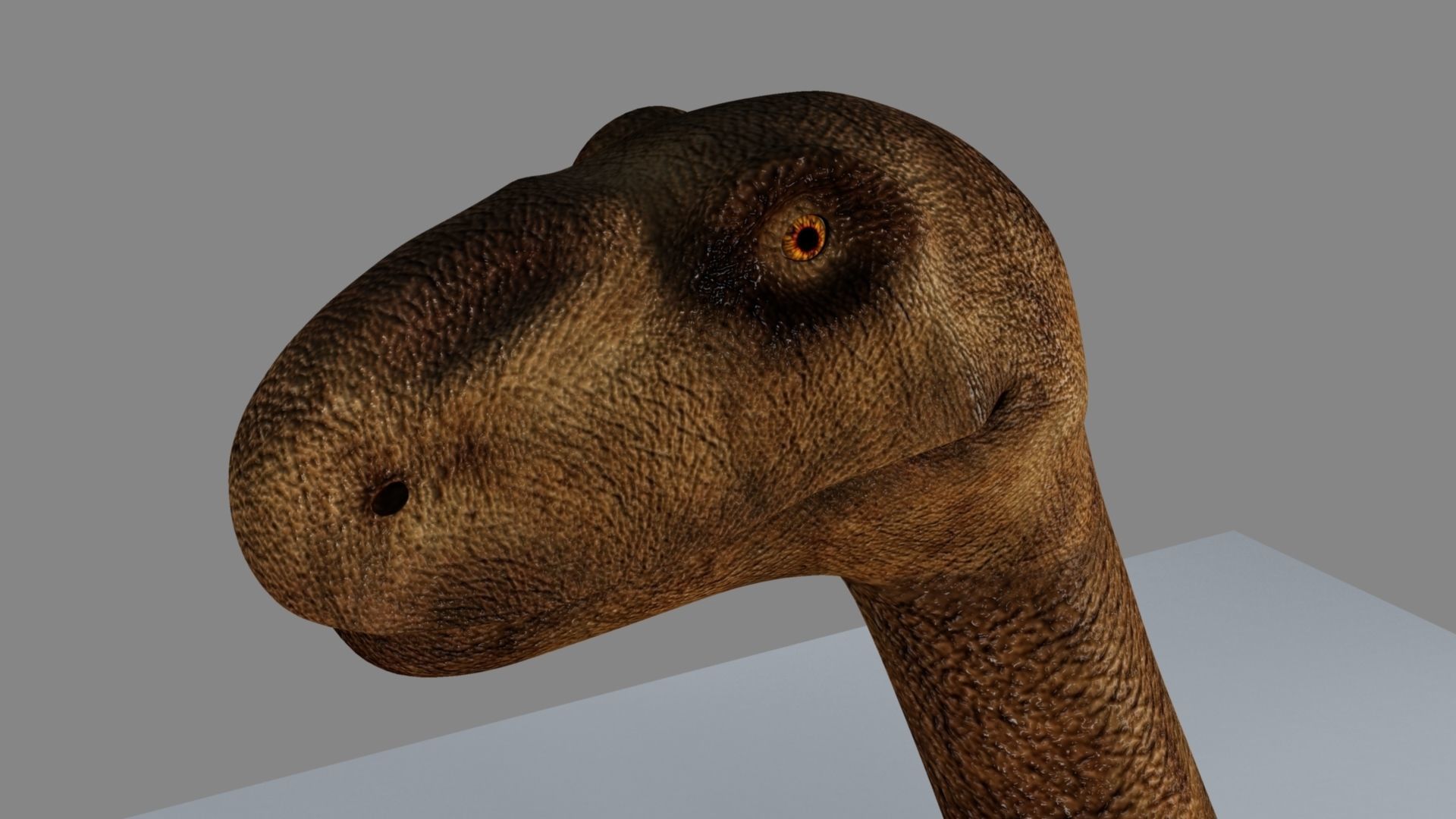 Argentinosaurus dinosaur 3D model_10