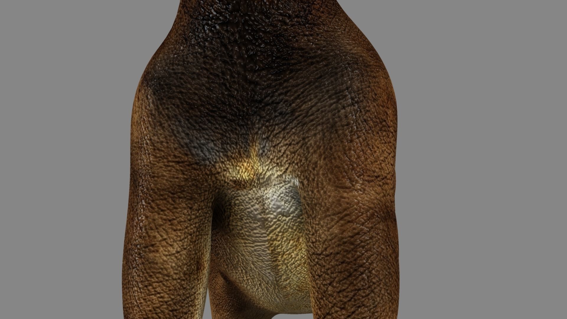 Argentinosaurus dinosaur 3D model_11