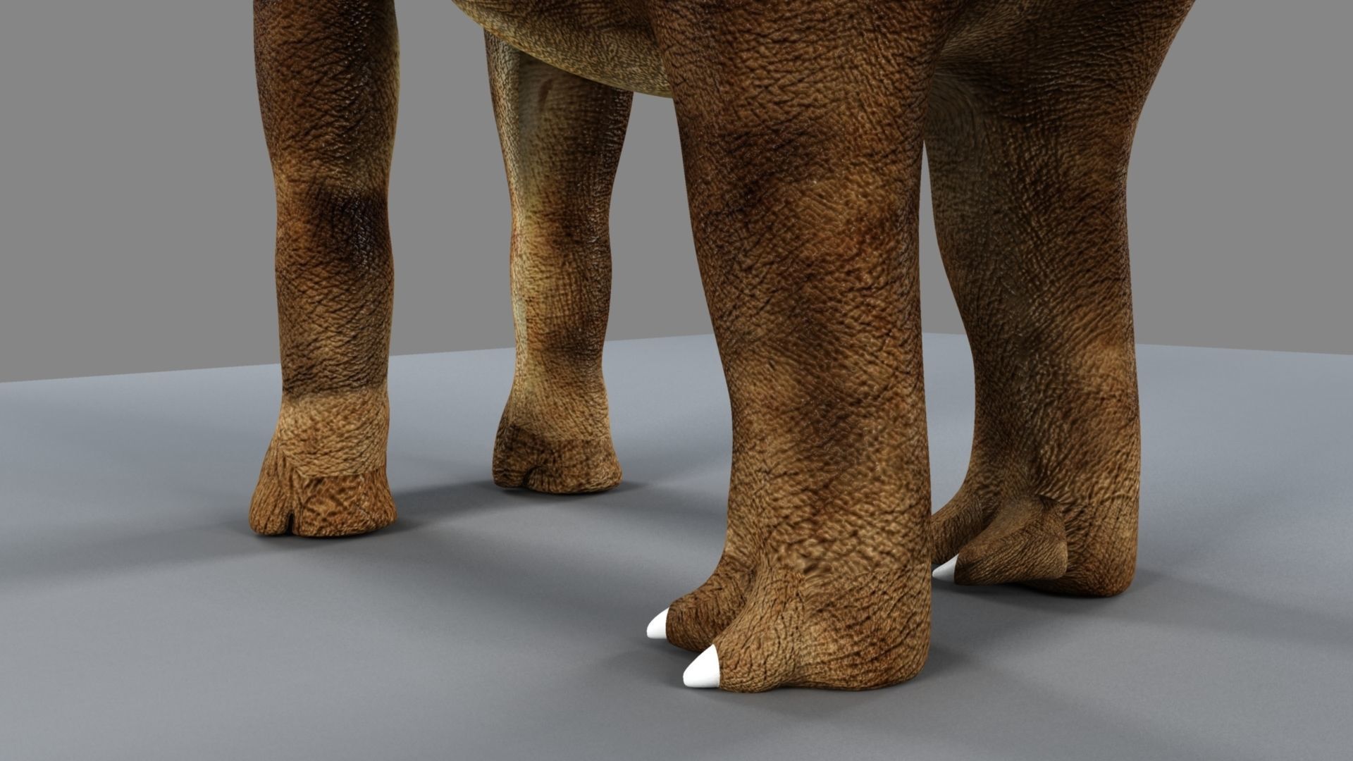 Argentinosaurus dinosaur 3D model_14