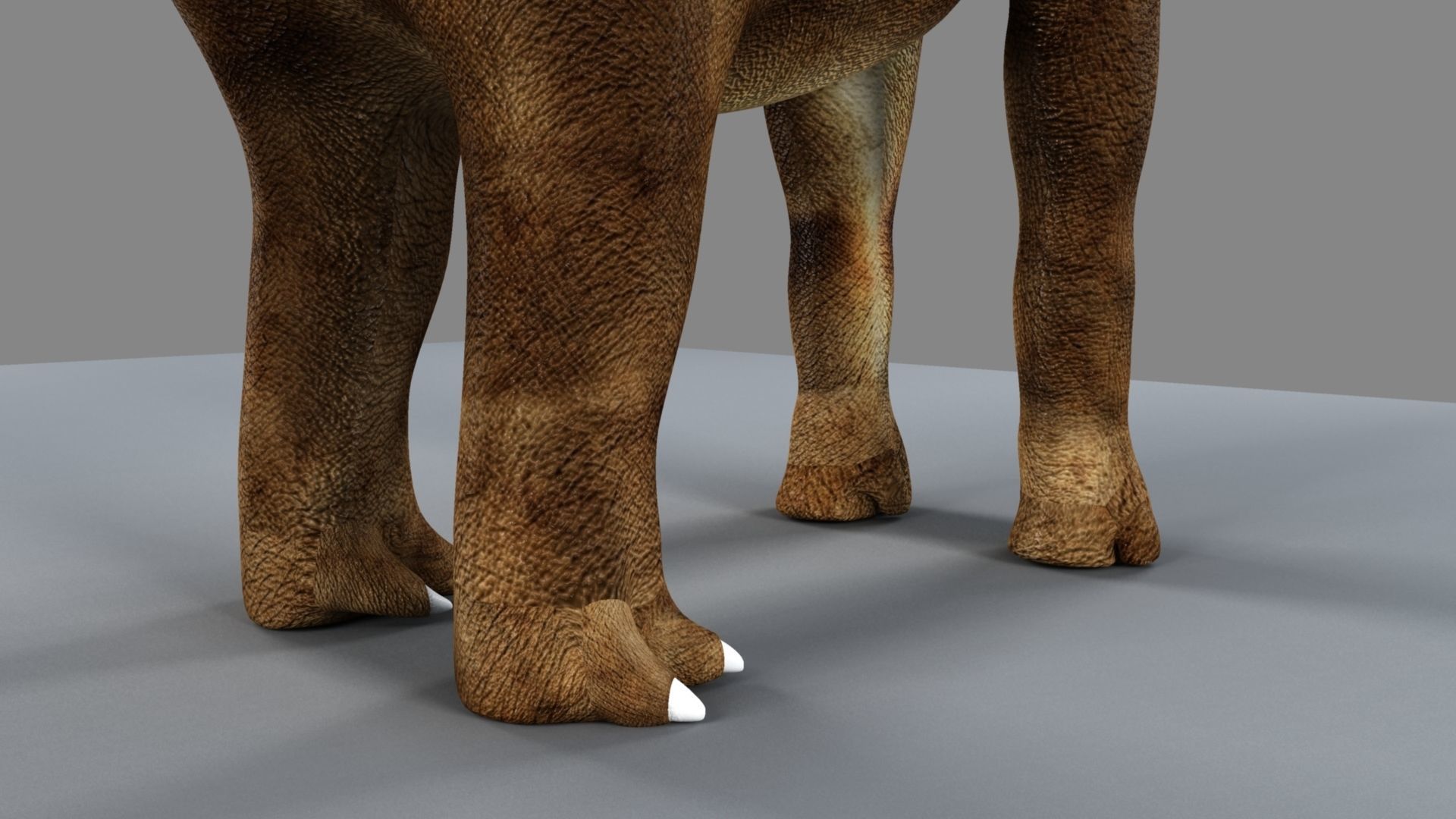 Argentinosaurus dinosaur 3D model_16