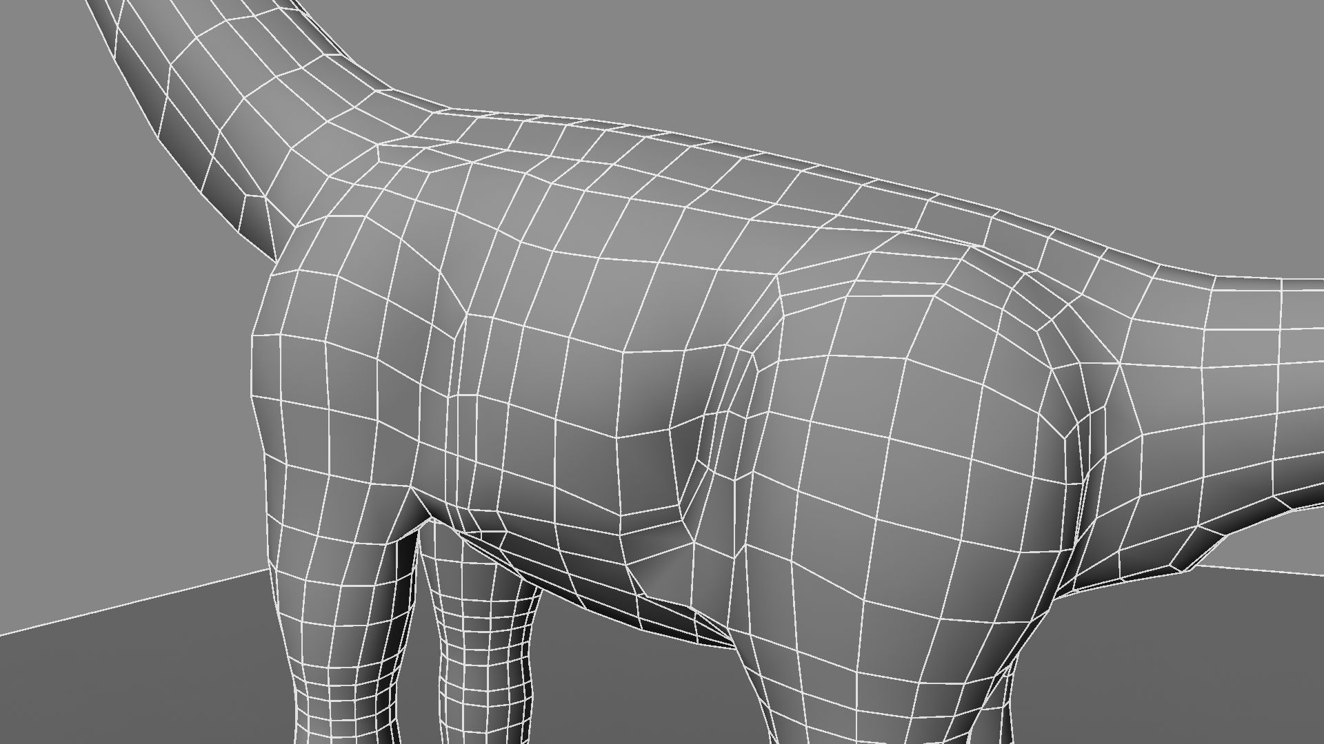 Argentinosaurus dinosaur 3D model_29