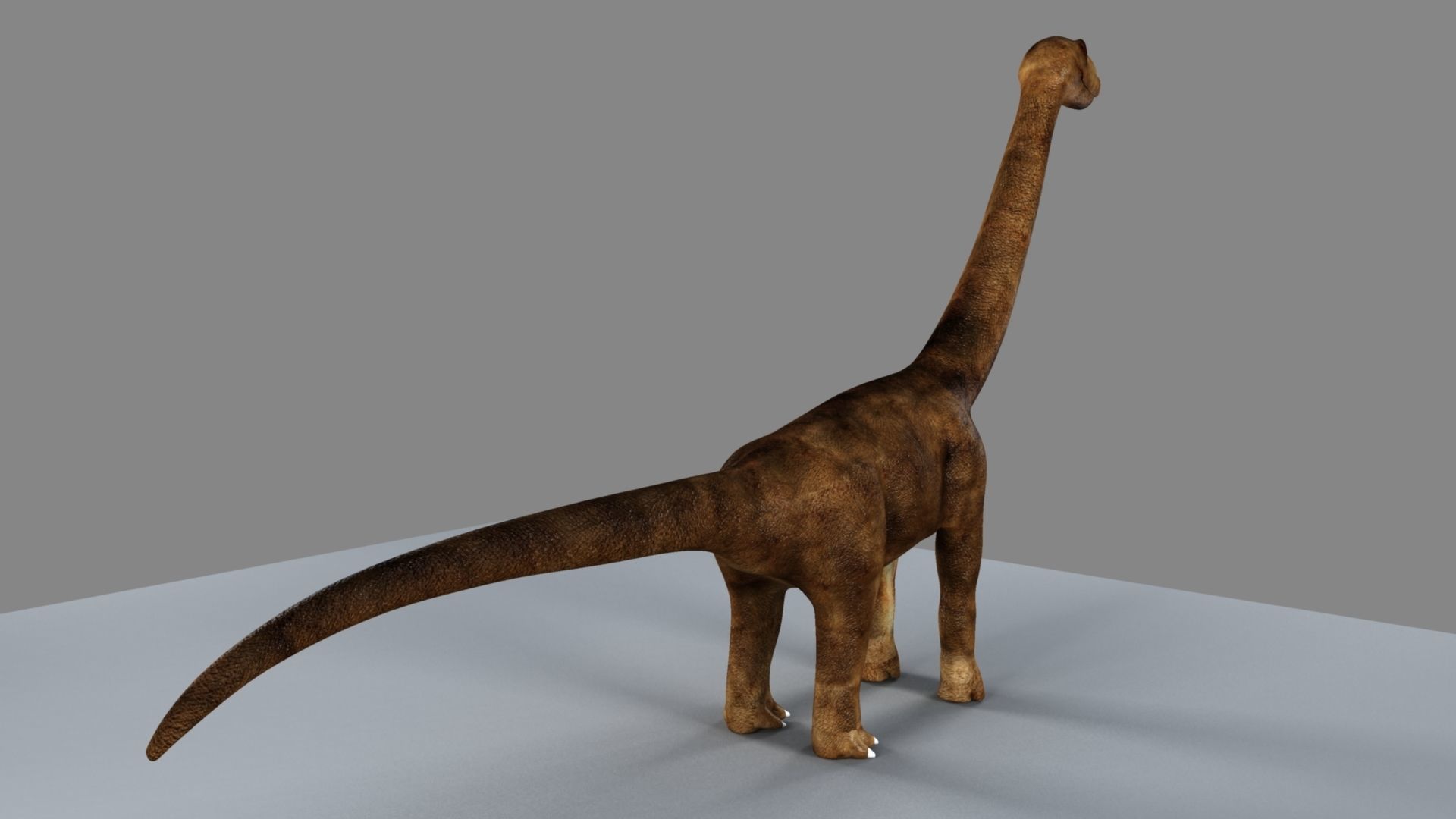 Argentinosaurus dinosaur 3D model_3