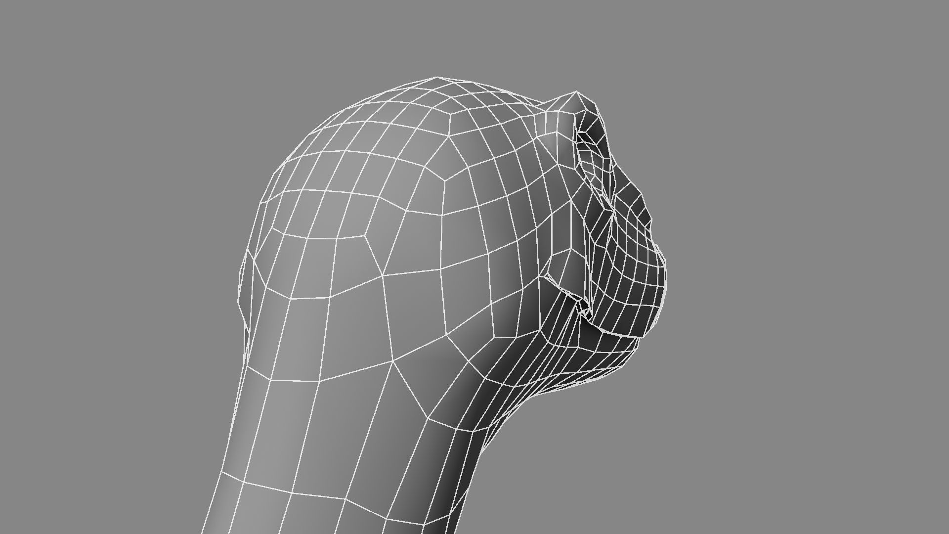 Argentinosaurus dinosaur 3D model_5