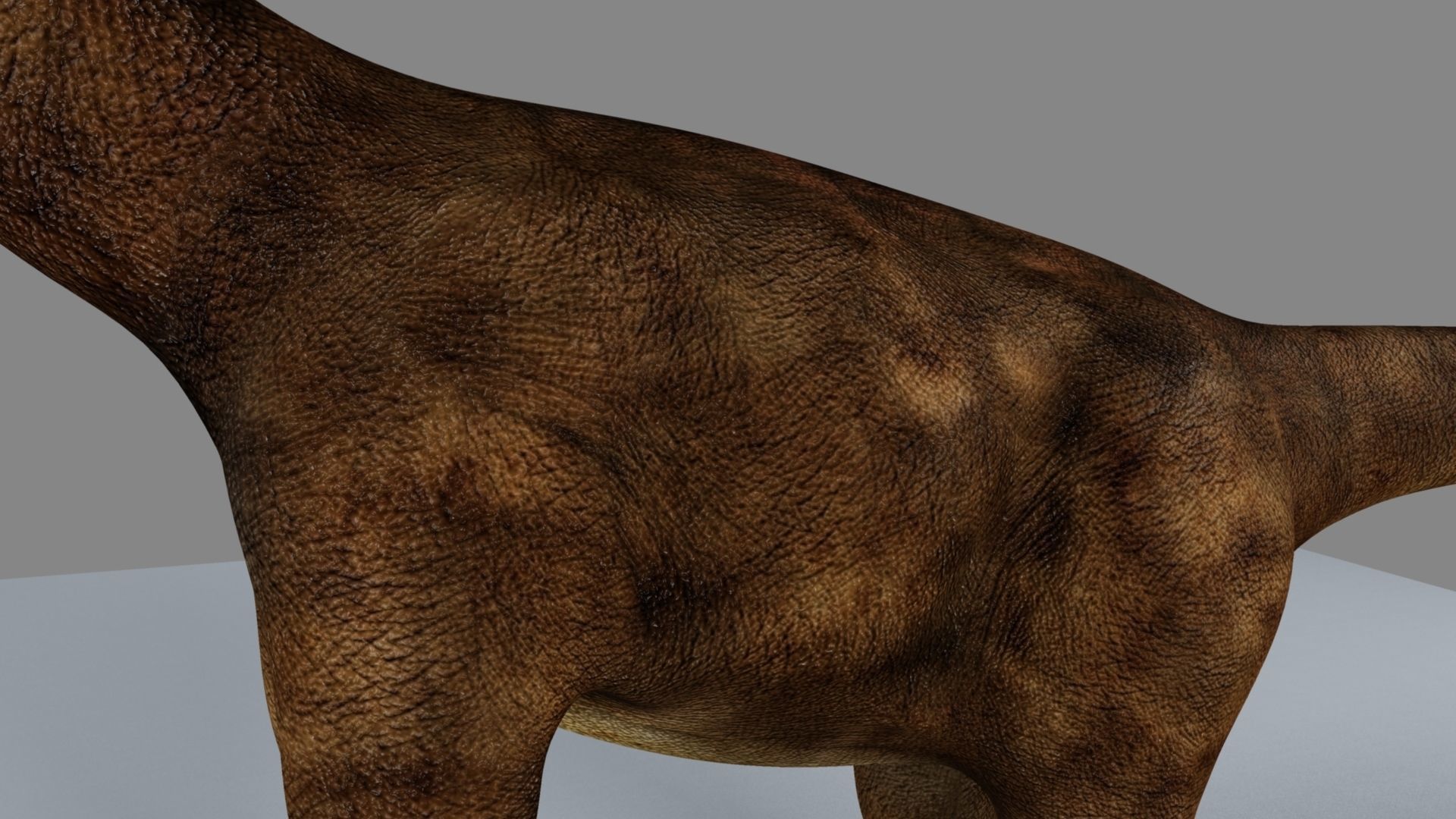 Argentinosaurus dinosaur 3D model_7