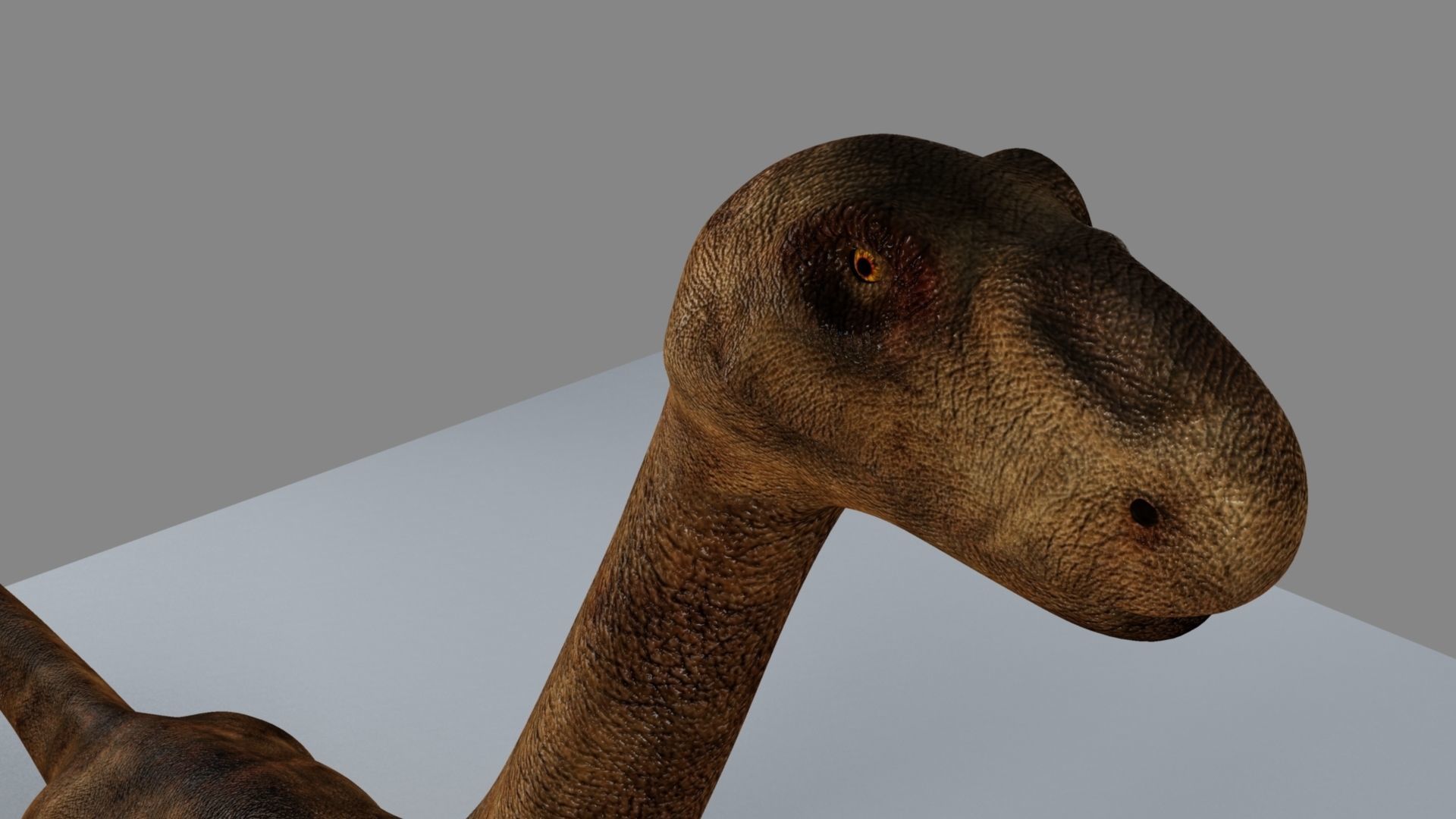 Argentinosaurus dinosaur 3D model_15