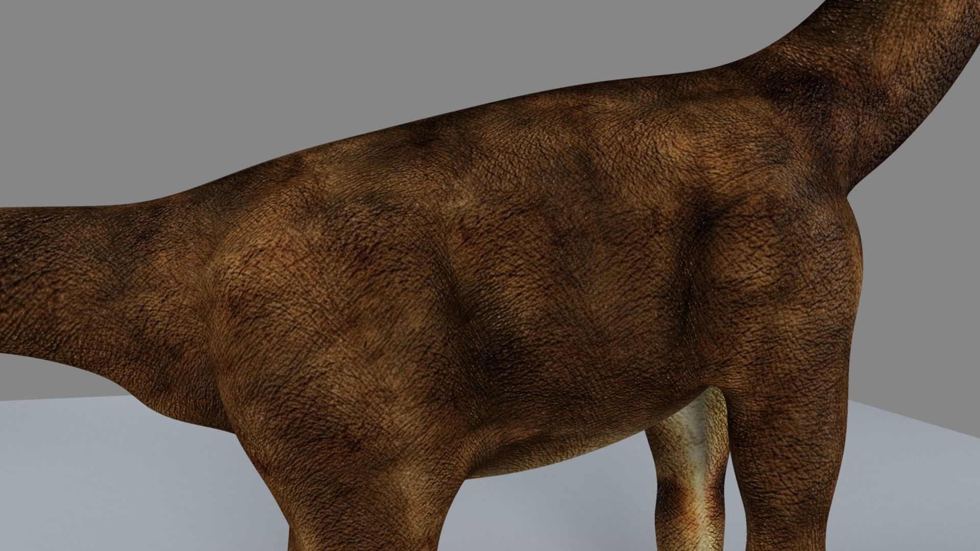 Argentinosaurus dinosaur 3D model_12