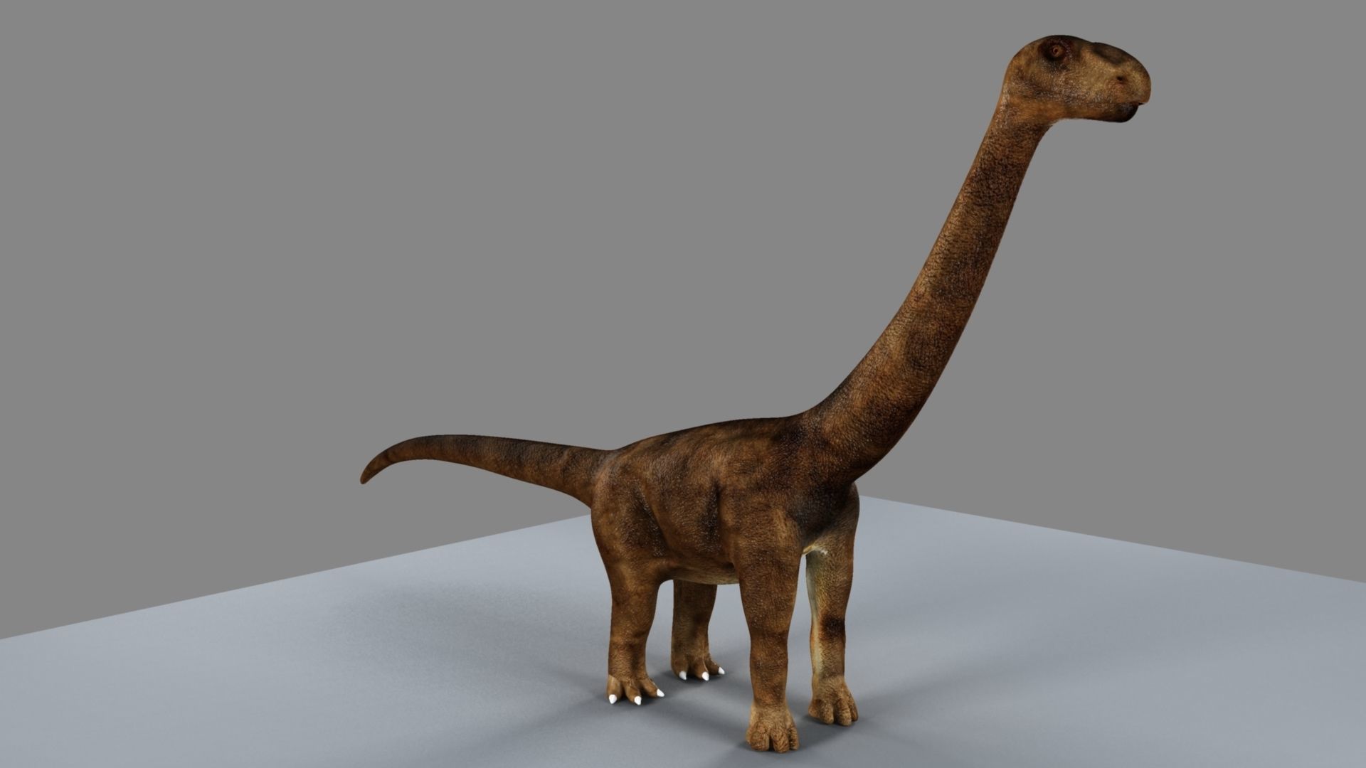 Argentinosaurus dinosaur 3D model_4