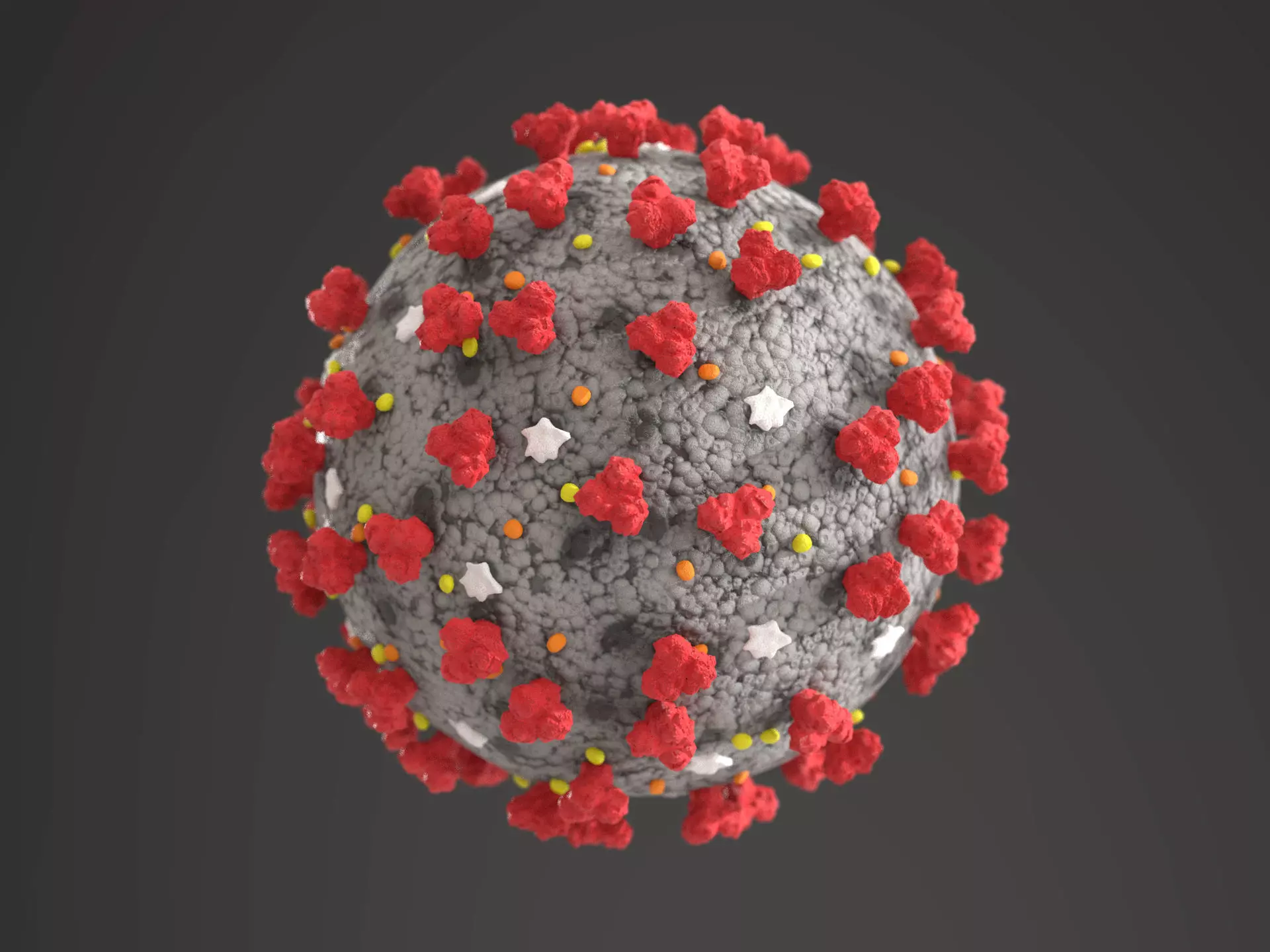 coronavirus covid-19 3D model