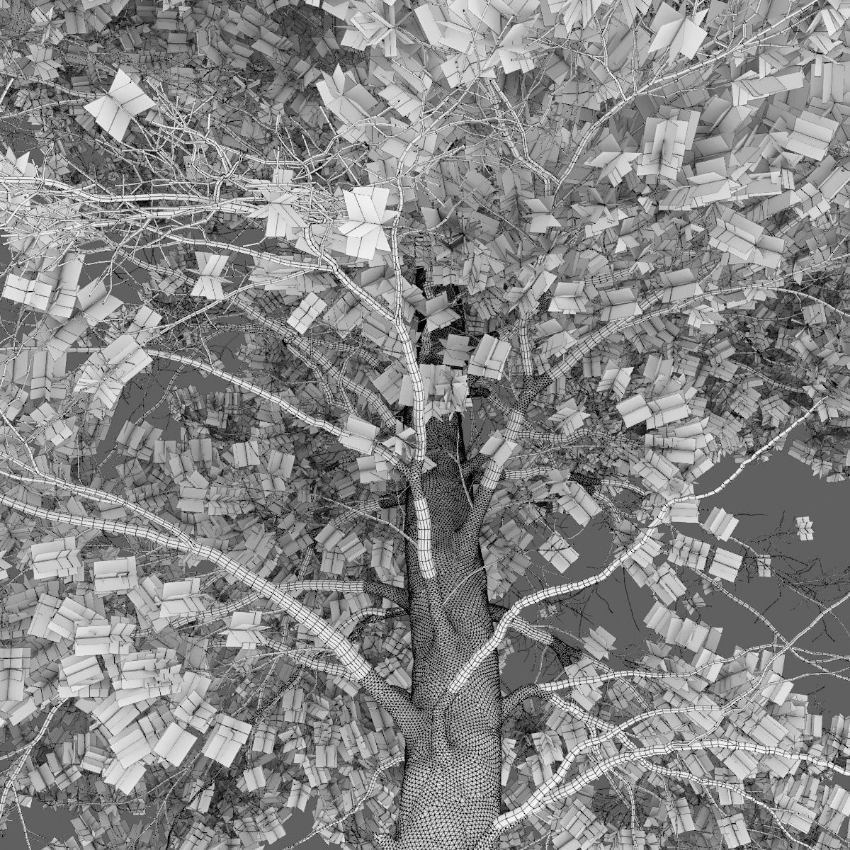 Pinus Sylvestris 06 3D model_4